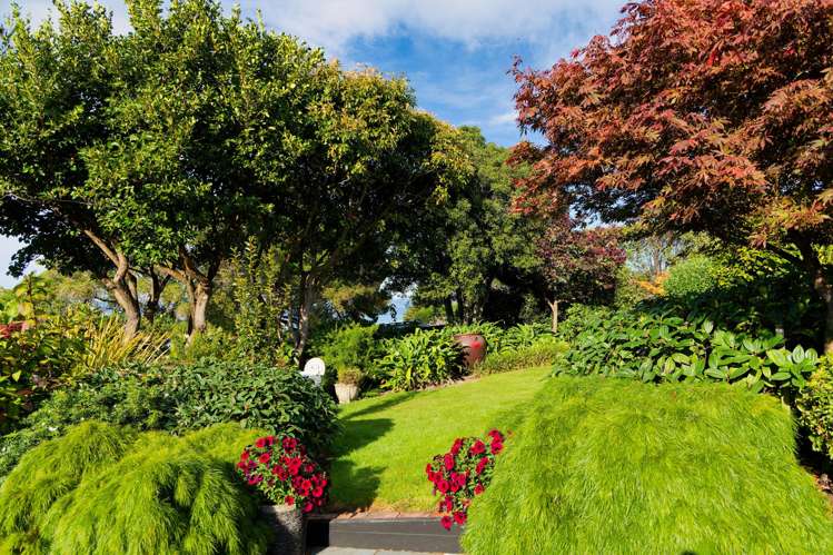 84b Churchill Street Kaikoura_48