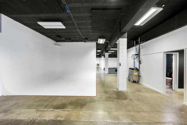 37 Crummer Road Grey Lynn_4