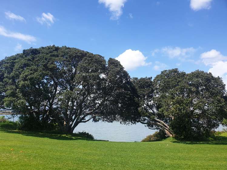 1/334 Panama Road Mount Wellington_0