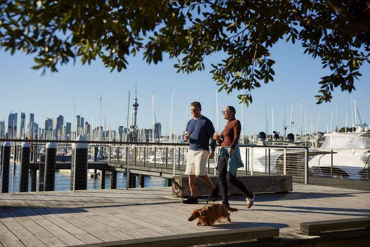 204/99 College Hill Freemans Bay_26