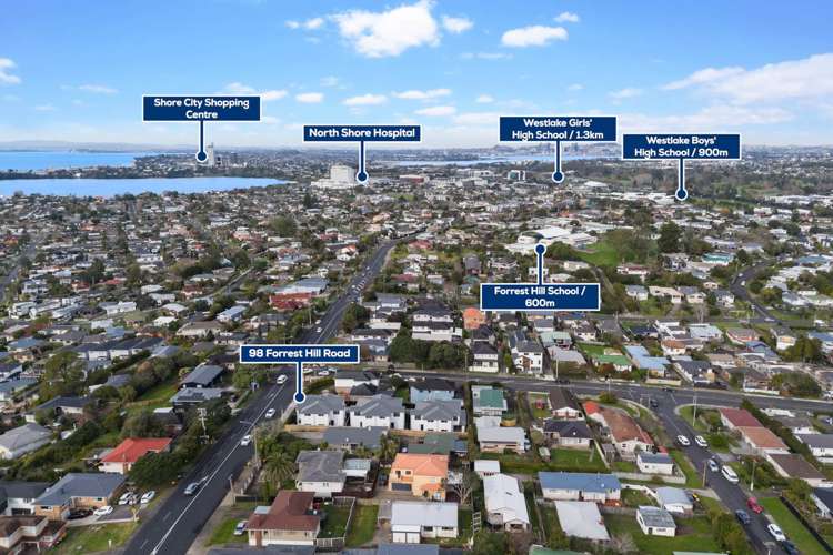 98C Forrest Hill Road Forrest Hill_19