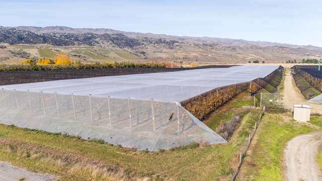 Smiths Way Mount Pisa_4