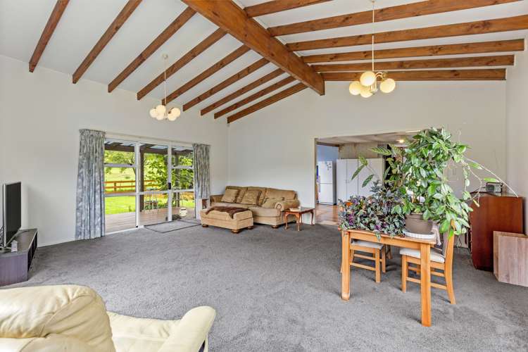 853 Tahuroa Road Morrinsville_14
