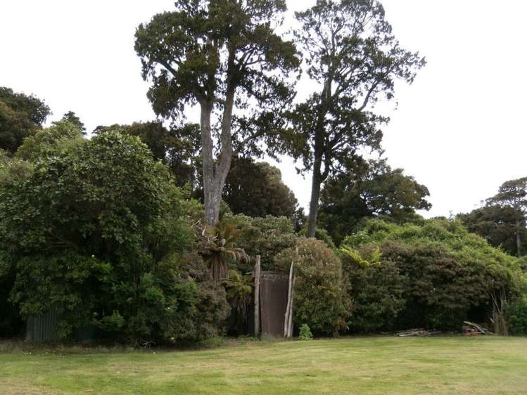 2367 Papatowai Highway Papatowai/Pounawea_6