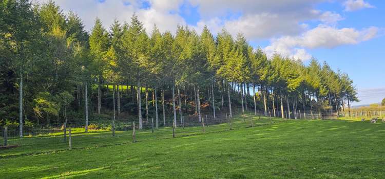 94 Oturoa Road Hamurana_9