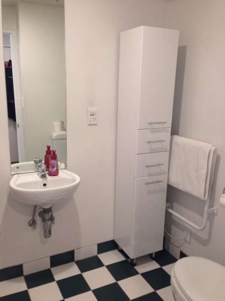 Gb/250 Richmond Road Grey Lynn_8