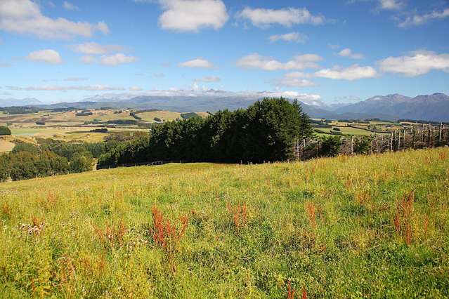 Fiordland Mountain Views