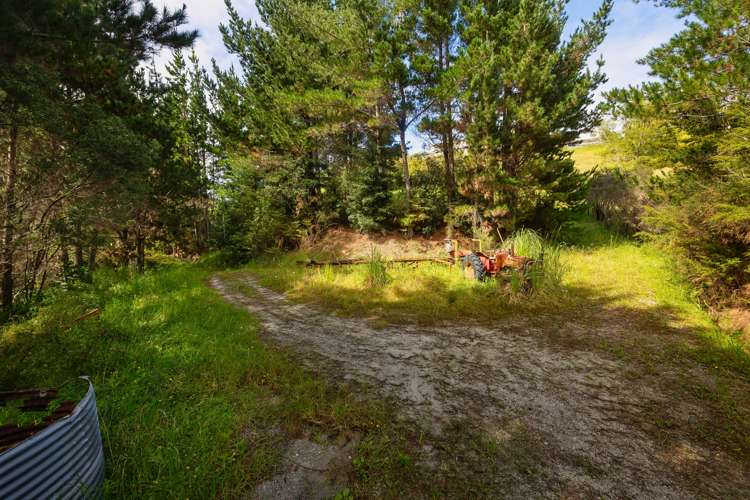 81 Grange Street Warkworth_29