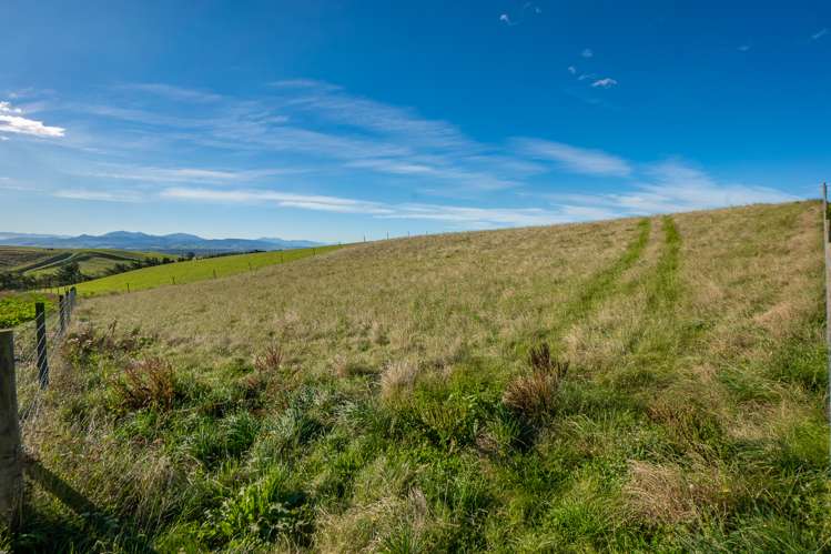 160 Esler Road Pleasant Point_19