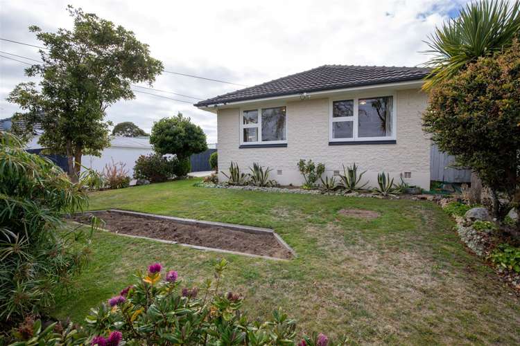 56 Greenhaven Drive Burwood_19