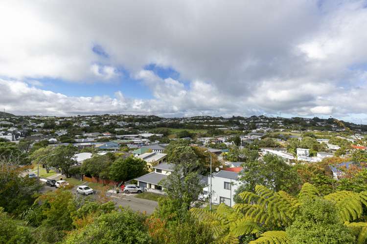 12 Loasby Crescent Newlands_15