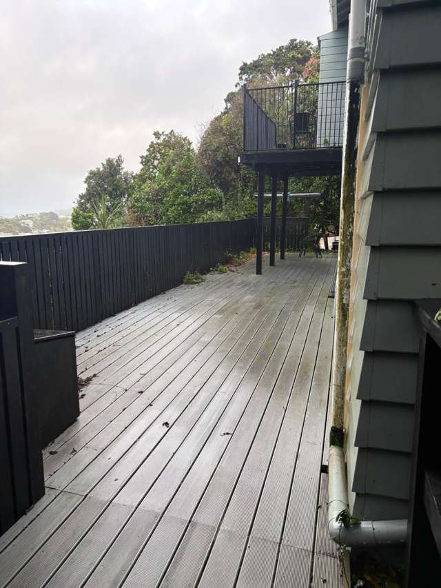 93 Rakau Road Hataitai_3