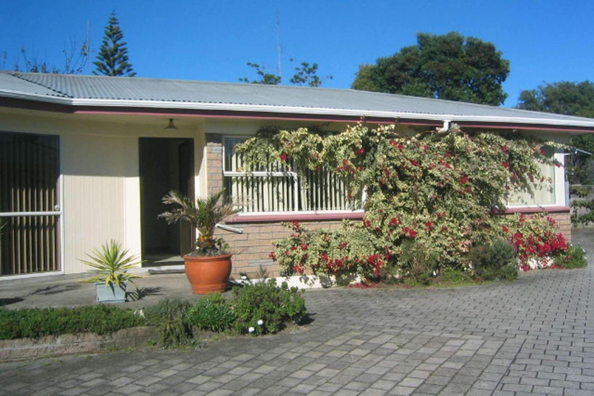 64 Links Avenue Mount Maunganui_0