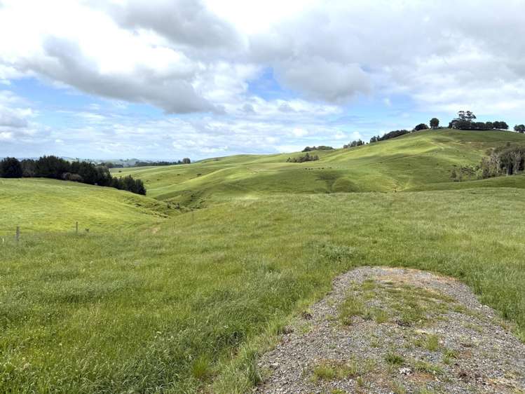 Taotaoroa Road Karapiro_42