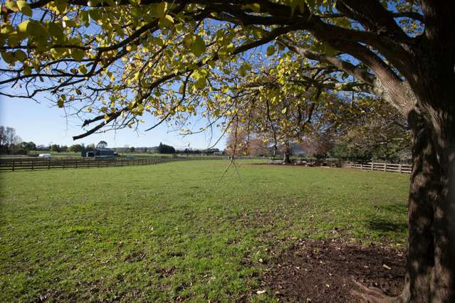 312b Marychurch Road Matangi_4