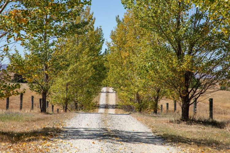 317 Golden Road Springvale Alexandra_4