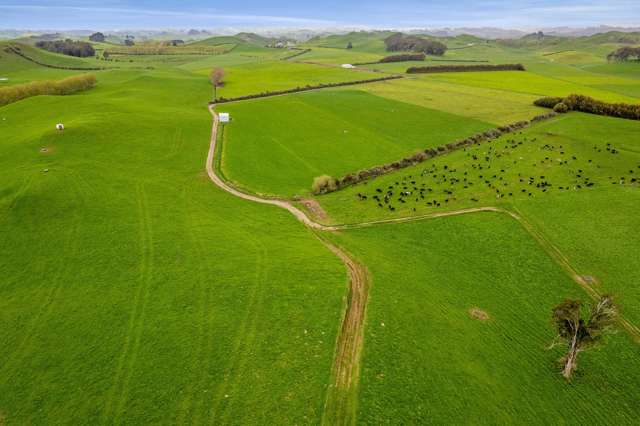 52-62 Pukengahu Road Pukengahu_1