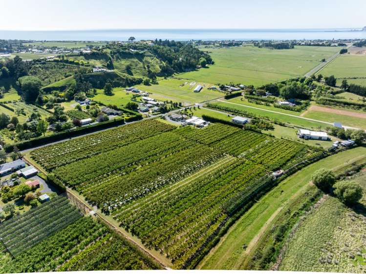 209 Onehunga Road Bay View_19