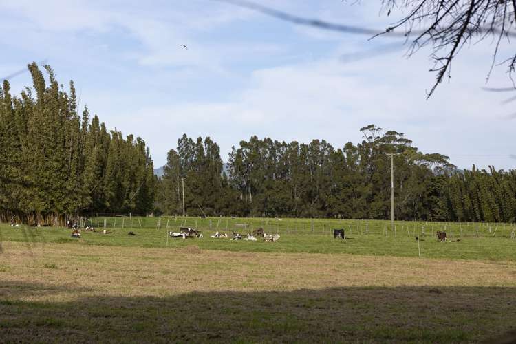 782 Gill Road Kaitaia_6