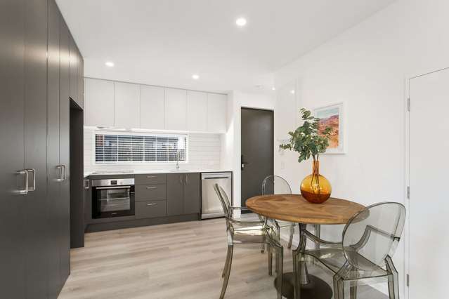 9 Albemarle Street Sydenham_1