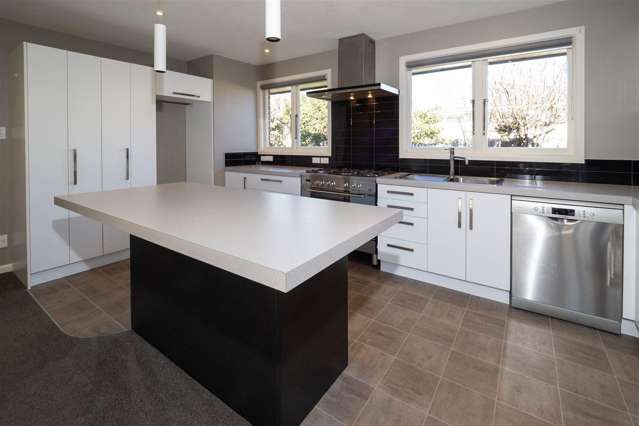 82 George Street Tinwald_1