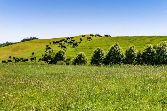 Upland Road Egmont Village_1