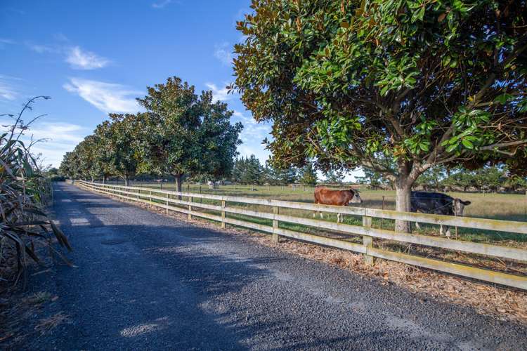 296b Vaile Road Newstead_22