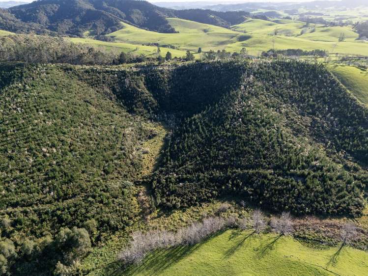 683F Puketona Road Haruru_28