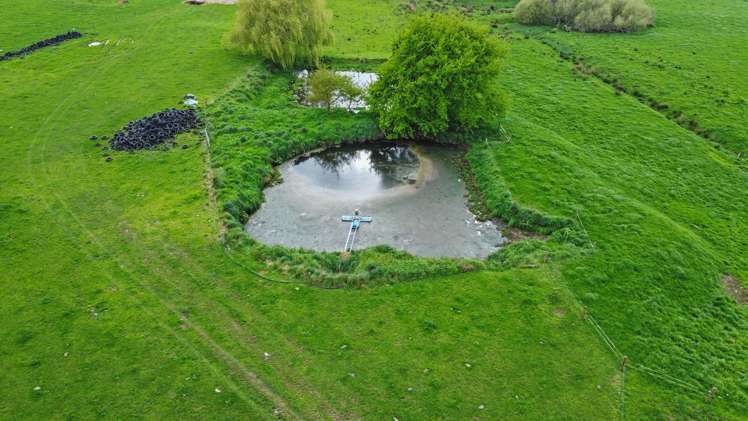 63 Harbottle Road Morrinsville_10