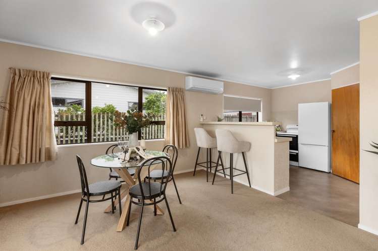 11d Snell Street Morrinsville_6