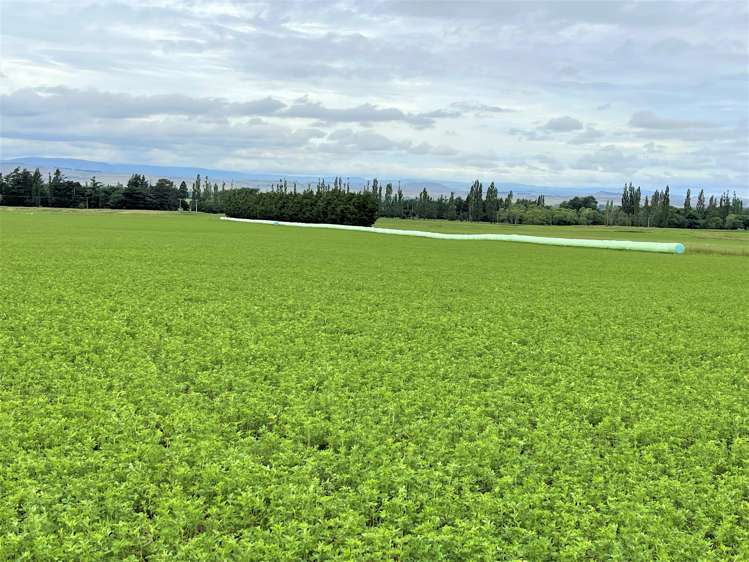 Lot 2 DP 595620 Gladbrook Road Middlemarch_9