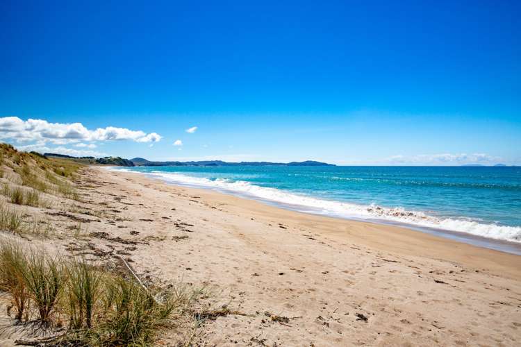 1905 Pataua North Road Pataua_16