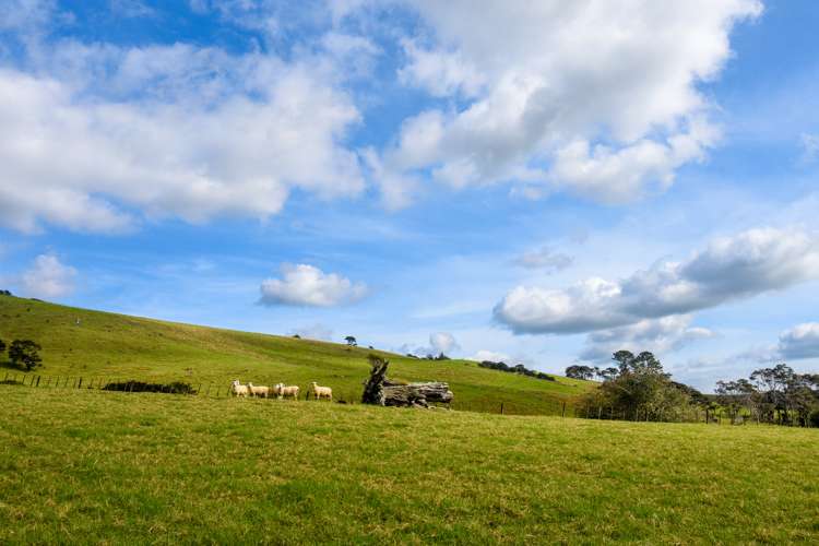 363 Ness Valley Road Ness Valley_35