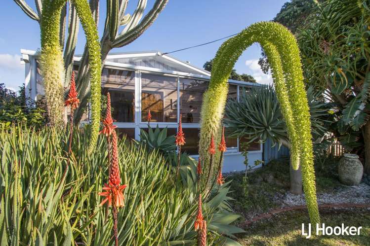 104 Dillon Street Waihi Beach_18