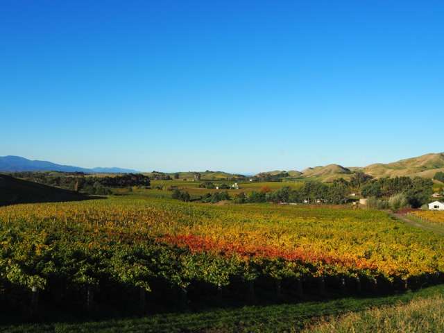 149 Wrekin Road Fairhall_2