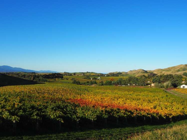 149 Wrekin Road Fairhall_2