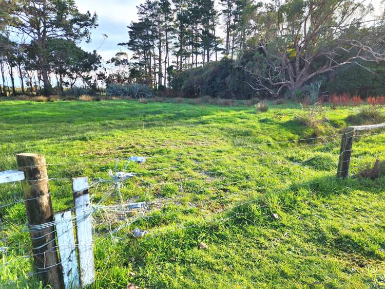 Pandora Avenue Camerons_9