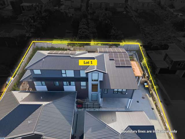 60 Ngatiawa Street One Tree Hill_1