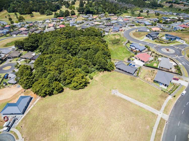 Pebble Beach Boulevard Kamo_10