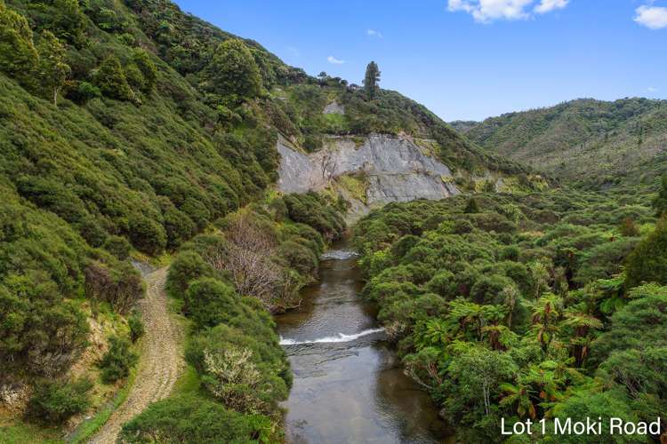 Lot 1 Moki Road, Tahora Taumarunui_8