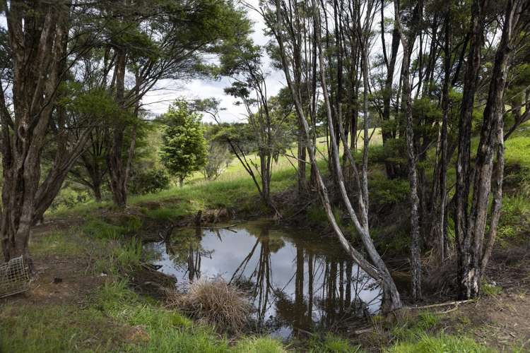 1214 Oruru Road Peria_32