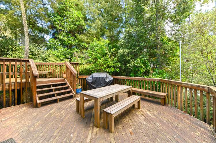 73d Konini Road Titirangi_7