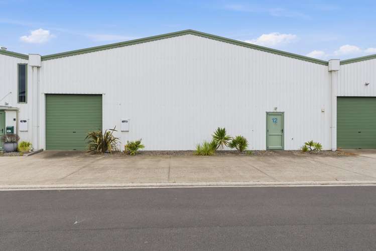 12 Kittyhawk Way Mt Maunganui_9