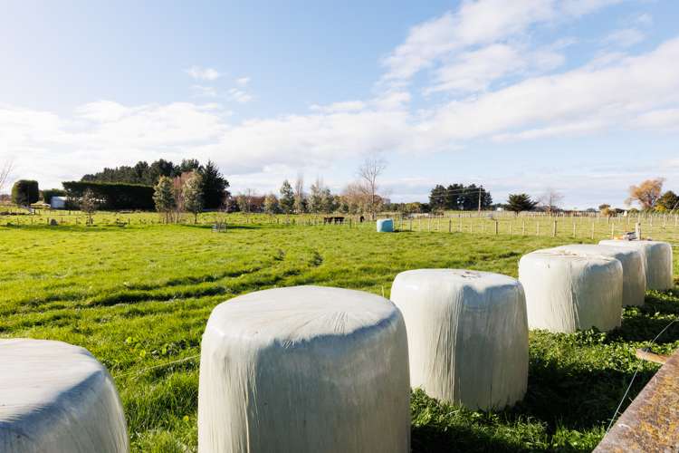 62 Nga Tawa Road Marton_14