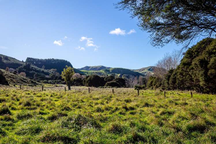 Lot 2 Pack Spur Road_4