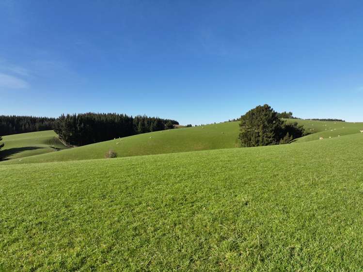 759 Waitahuna Gully Road Waitahuna_9