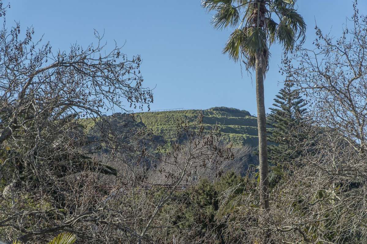 9 Hona Avenue_3