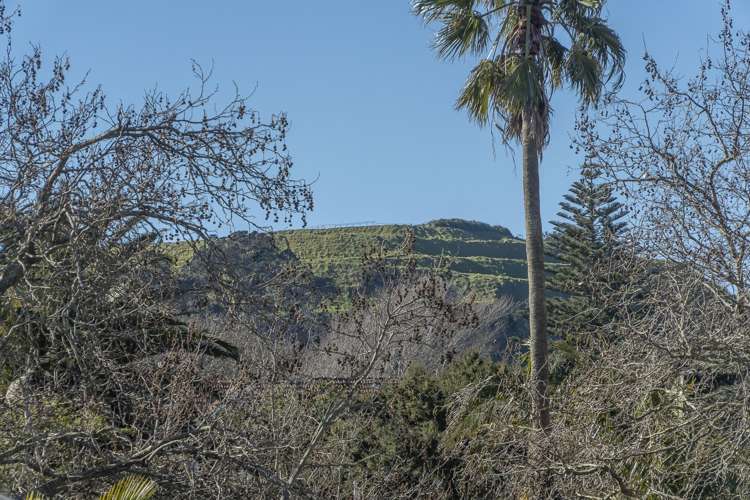 9 Hona Avenue Mount Eden_7
