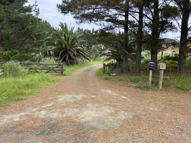 4560 Pouto Road Te Kopuru_1