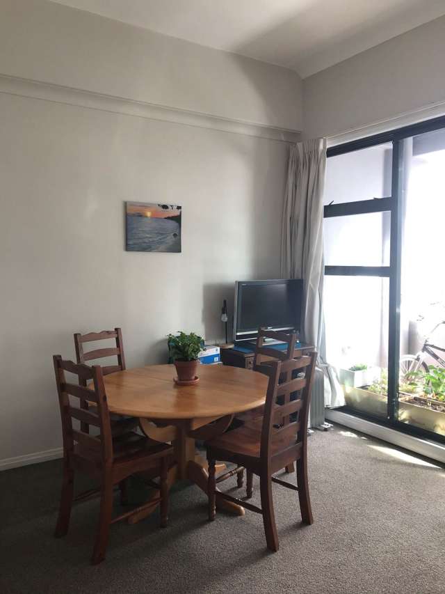 3a/18 Hobson Street Auckland Central_3